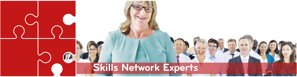Skills Network Experts